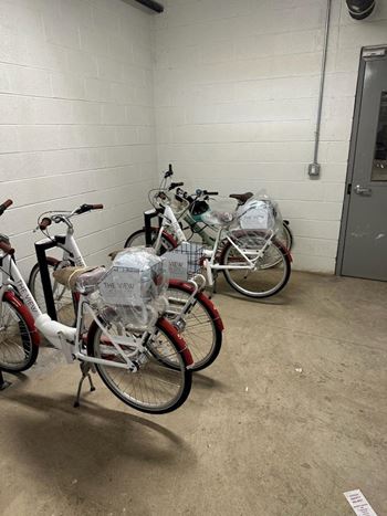 Free daily bike rentals